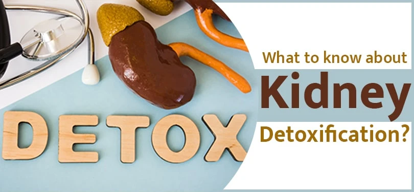 What to know about Kidney Detoxification?