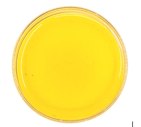 EVERYTHING ABOUT CBD OIL YOU NEED TO KNOW. | Bona Voluntate