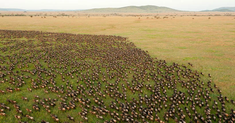 Tanzania Day Trip with Aquila Venture to Have More Fun