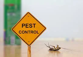 pest control checklist before leaving for vacation