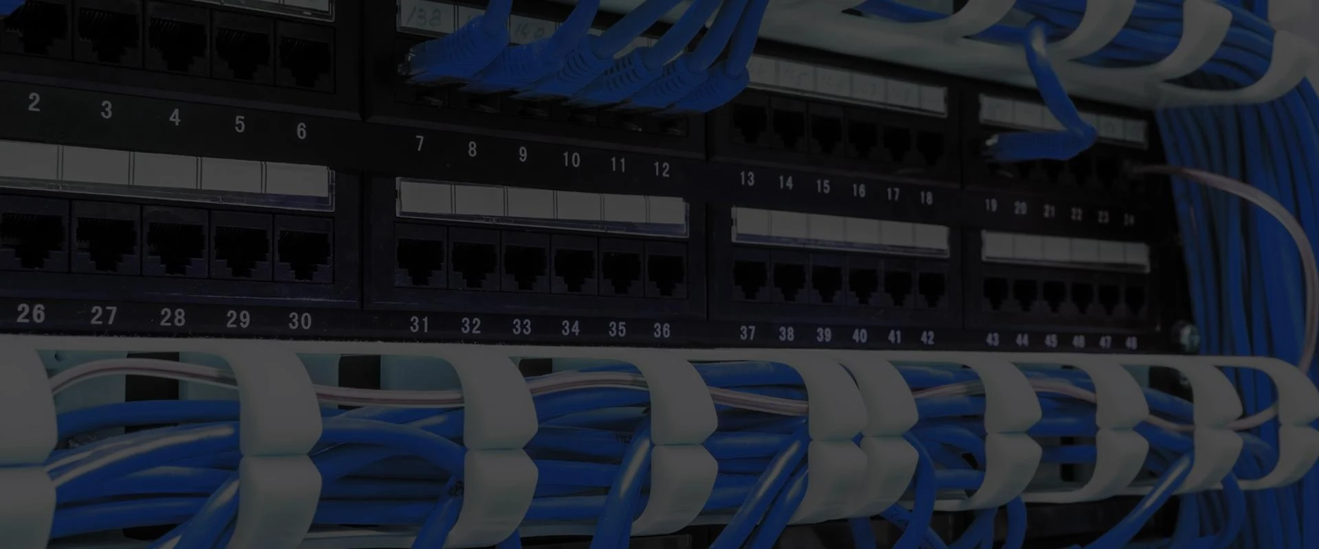Professional Network Cabling Services for Your Business Needs