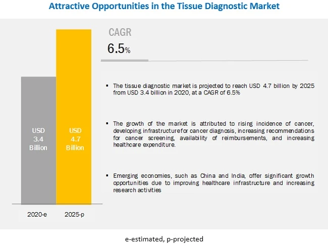 Tissue Diagnostics Market: Significant opportunities in BRICS countries