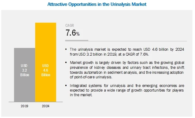 Urinalysis Market: Need for Rapid Pregnancy Testing to Drive Market Growth