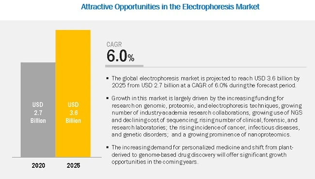 Electrophoresis Market: Growing prominence of nanoproteomics