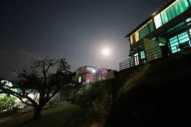 Nature's Retreat: Discover Uttarakhand's Hotels and Resorts by Nest&amp;Hives