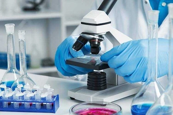 Unlocking Insights: In Vitro Diagnostics Market Overview and Trends