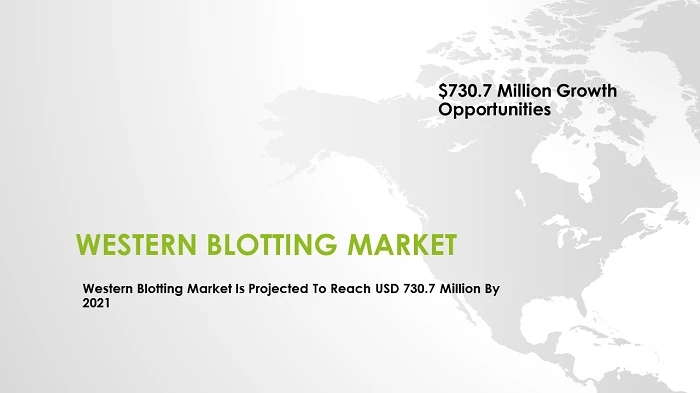 Western Blotting Market worth USD 730.7 Million : Increasing demand for personalized medicine