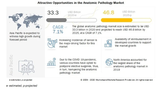 Anatomic Pathology Market : Analysis of Worldwide Industry Trends and Opportunities