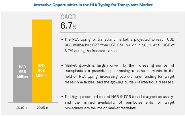 HLA Typing for Transplant Market Worth $968 million in 2025 – Application (Chimerism, Antibody Scree
