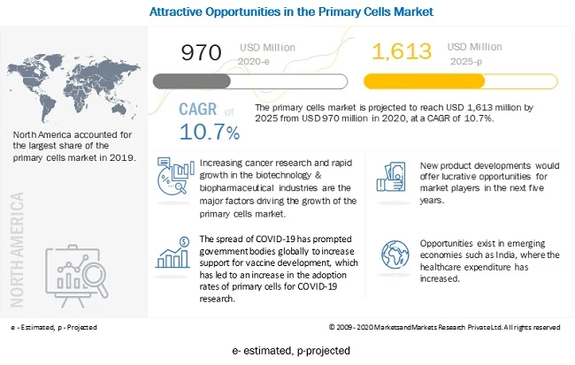 Primary Cells Market : Indicates Impressive Growth Rate In Biotech and Pharmaceuticals Industry