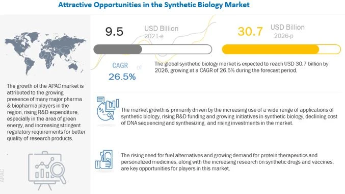 Synthetic Biology Market To Reach USD 30.7 Billion By 2026 – Scope In Gene Synthesis