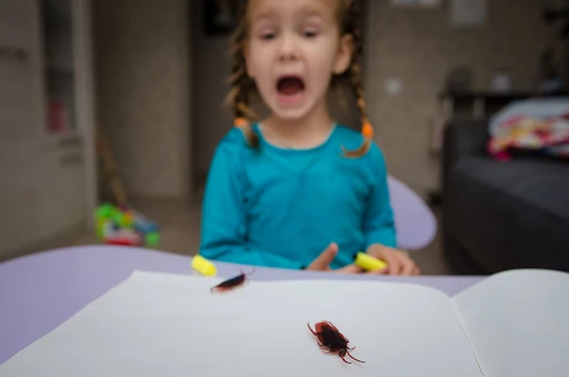 Get Rid of German Cockroaches from Virginia, D.C., and Maryland Homes