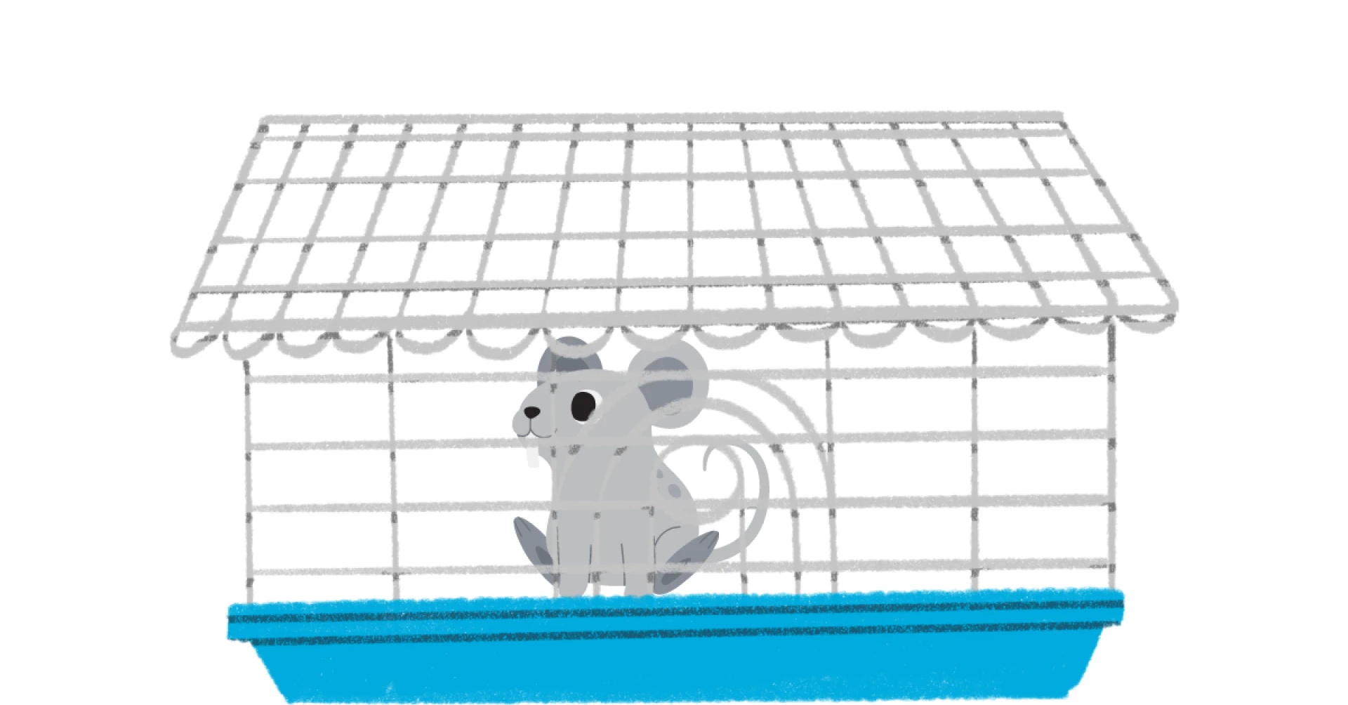 Rat Cage Calculator: Finding the Right Cage Size for Your Pet Rats