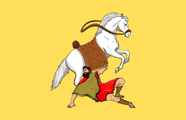 Horse Age to Human Age: Understanding Horse Age in Human Terms