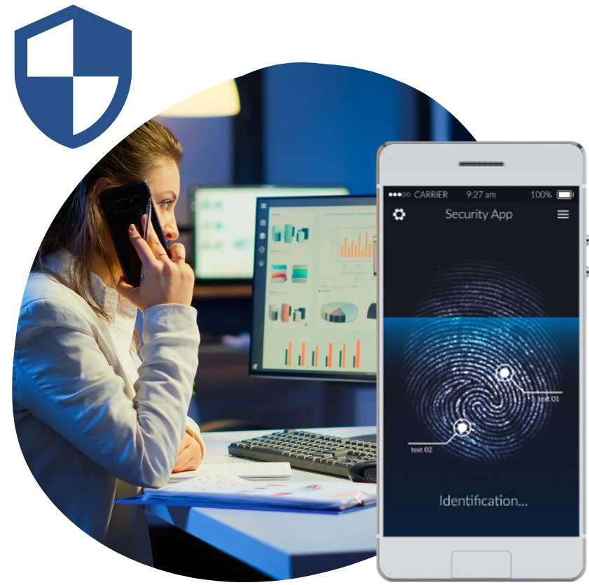 Different Types of Sensitive Information and How to Track Them?