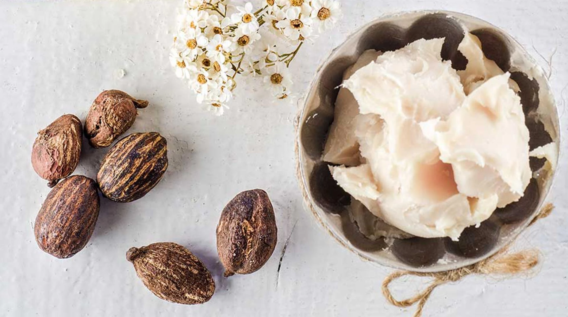 Shea Butter a type of nut-extracted fat that is used in personal care products as a moisturizer