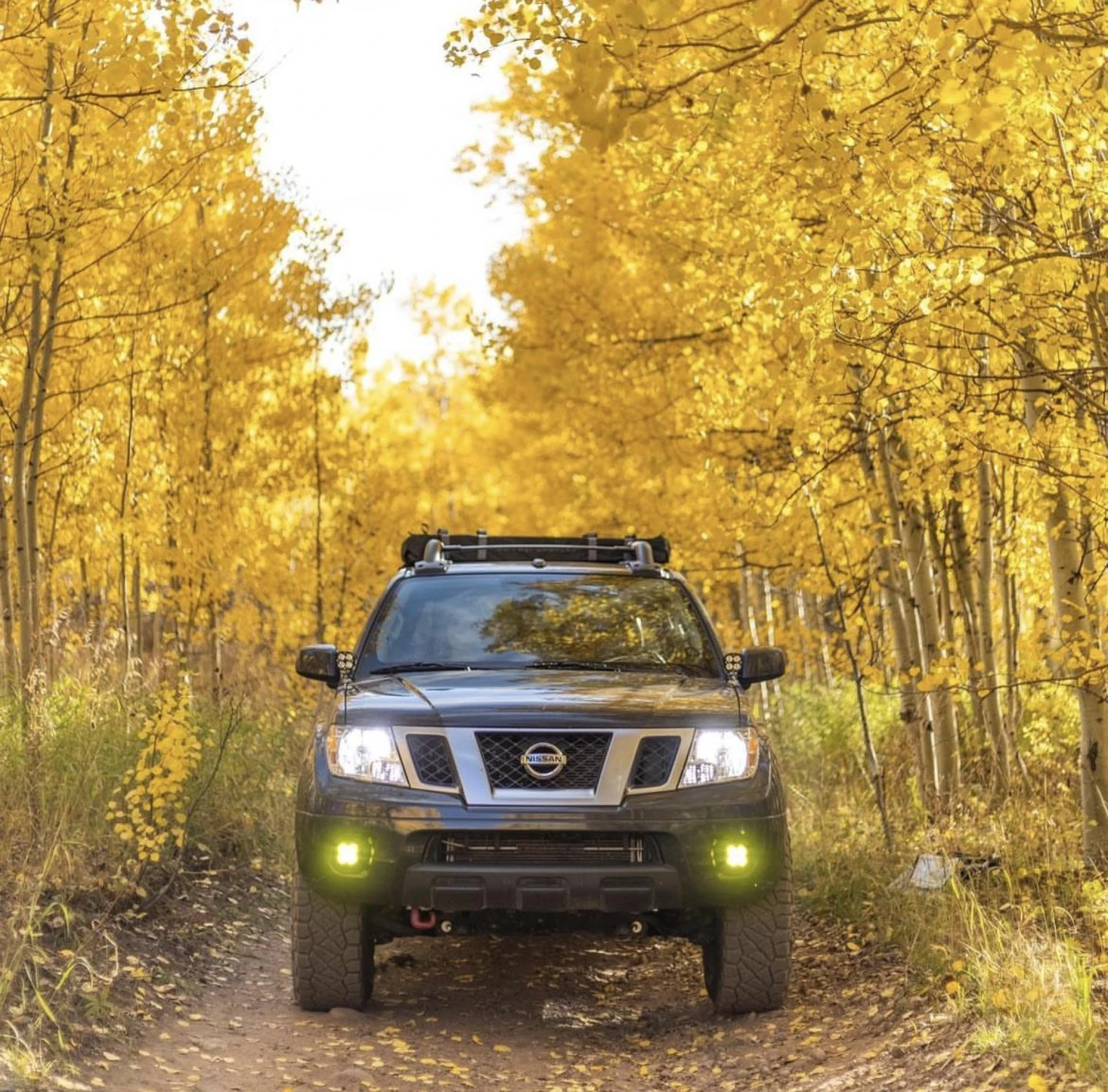 5 Best Tips, Tricks, Items, and Hacks for Car Camping