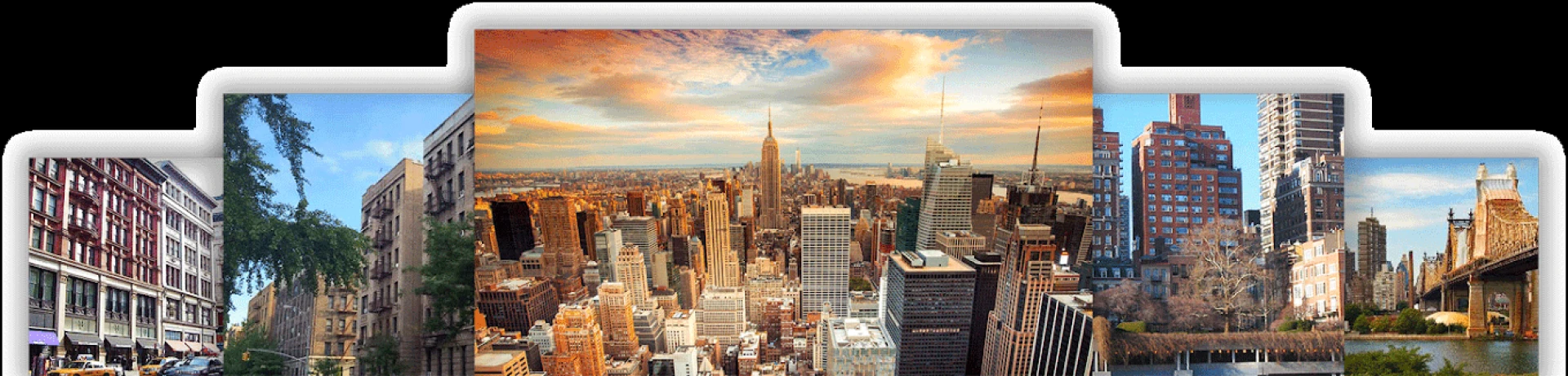 Expand Your Real Estate Experience: Examining NYC's Top Management Firms