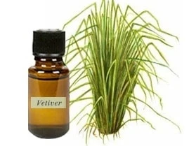 15 Great Vetiver Oil Ideas That You Can Share With Your Friends.
