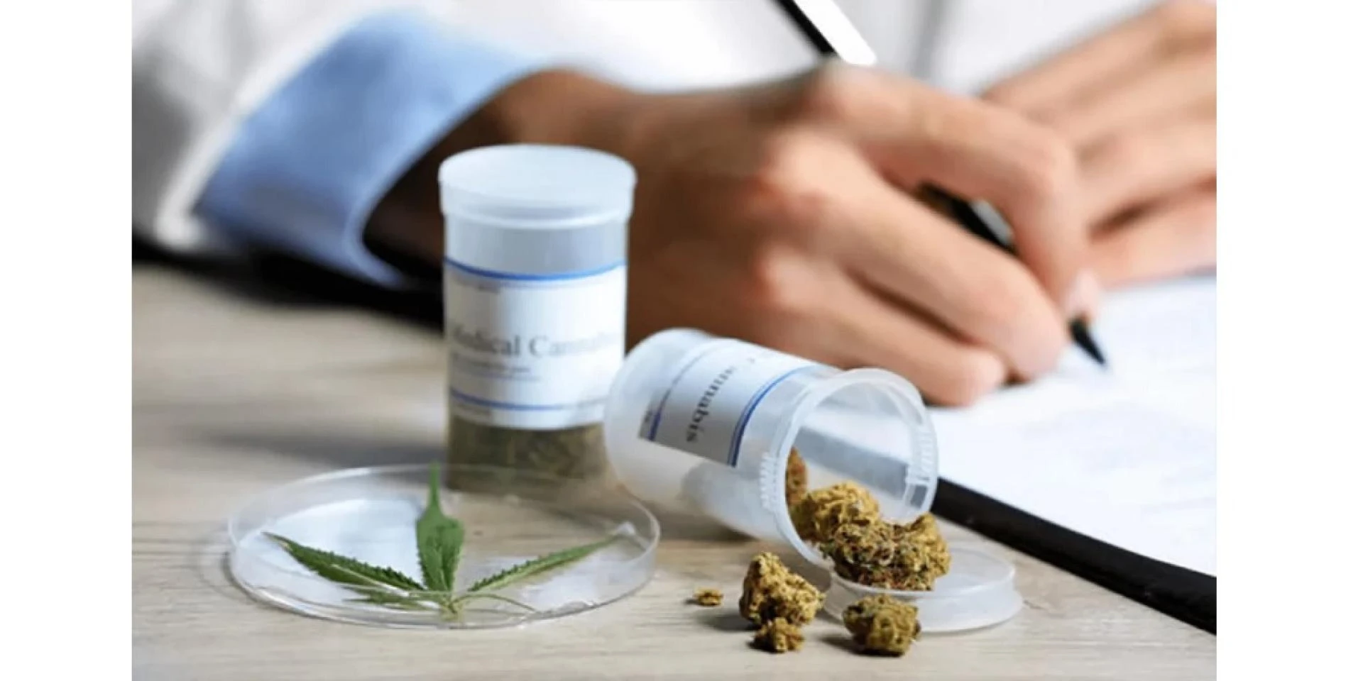 How to Get Your Medical Marijuana Card in Leesburg Without the Hassle