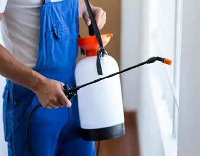 Pest Control Hope Island