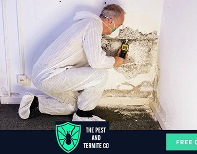 Pest Control Services Gold Coast
