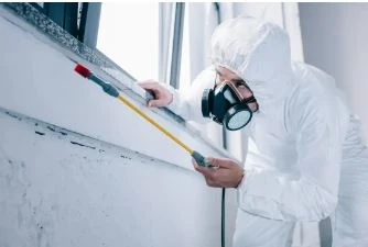 Pest Control Helensvale