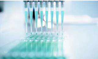 AI Is Changing Antibody Engineering in the Biopharmaceutical Industry