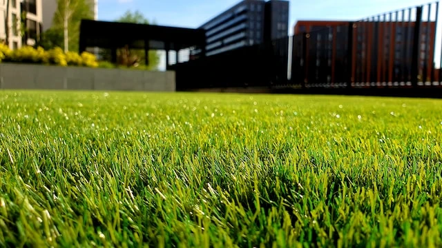 The Most Popular Uses for Synthetic Turf Installation in South Florida for Your Home