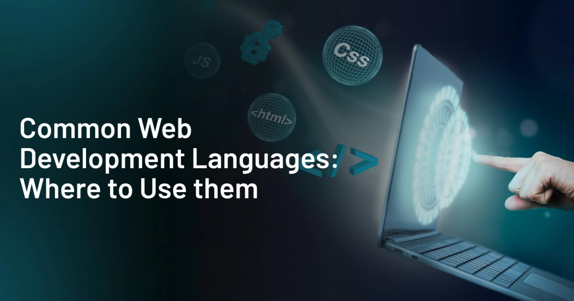 Top 7 Web Development Languages And Where To Use Them