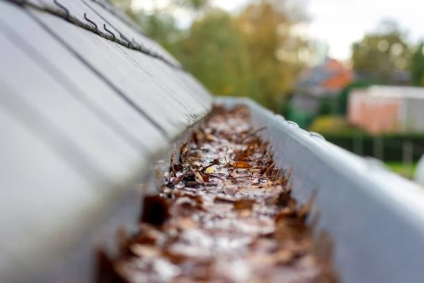 Why Do Milton Keynes Gutters Need To Be Cleaned Regularly?
