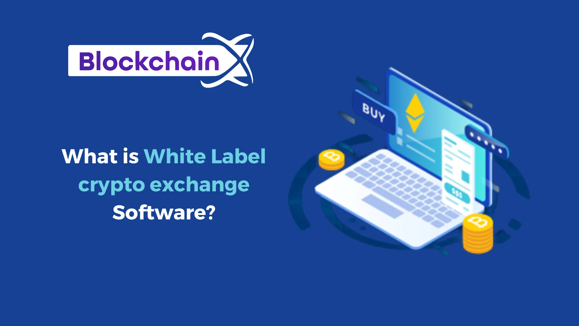 How does white label crypto exchange software help crypto entrepreneurs?