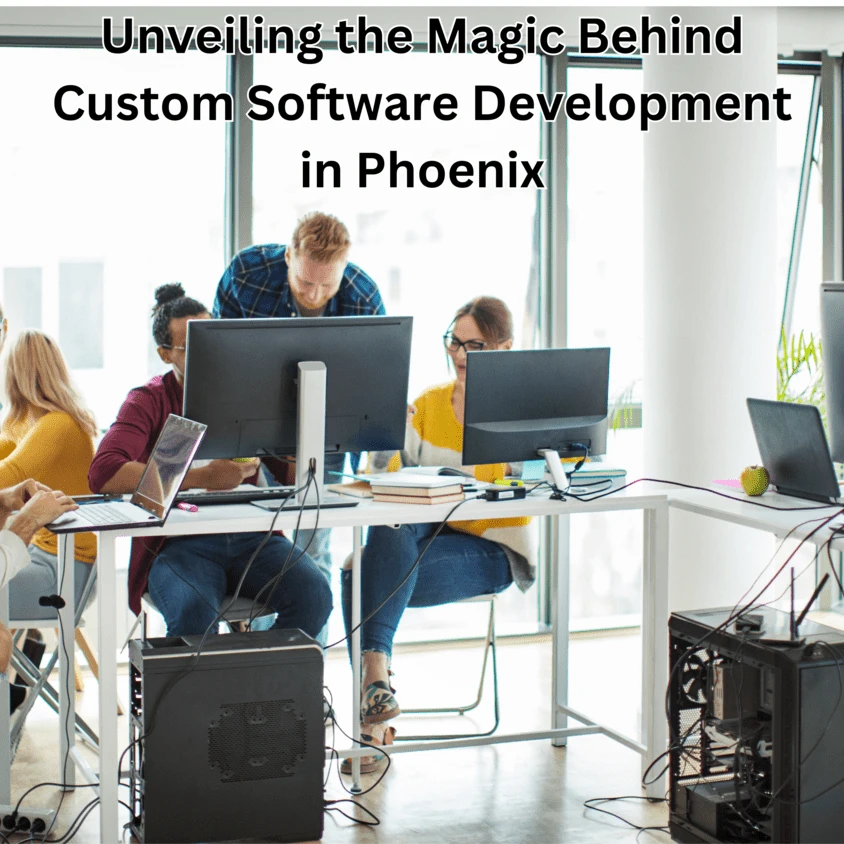 Revealing the Potential of Tailored Software Development in Phoenix