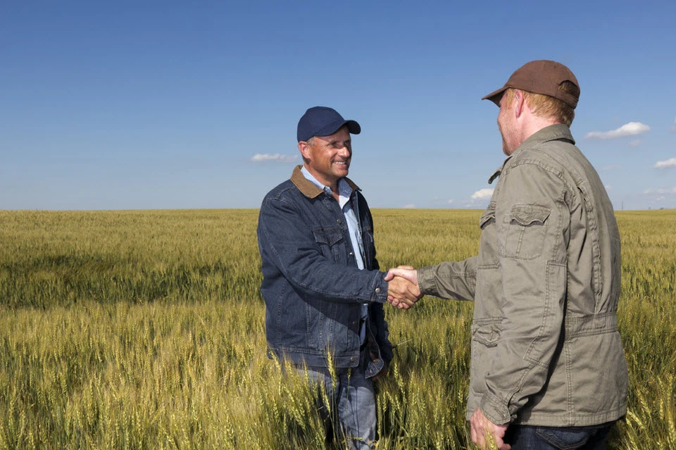 Maximizing Profits: The Significance of Assessing Agricultural Assets in Arizona