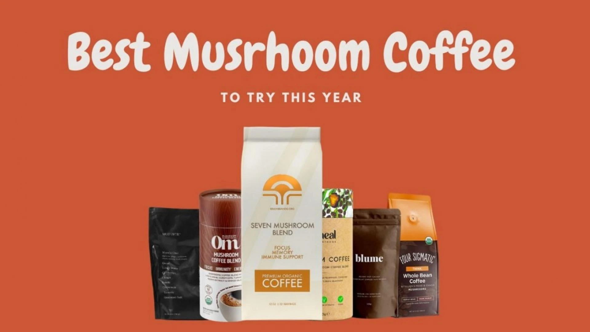 Exploring the Benefits of the Best Quality Mushroom Coffee