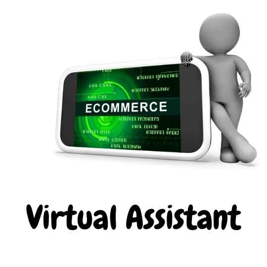 Virtual Assistant Group: E-Commerce Virtual Assistant