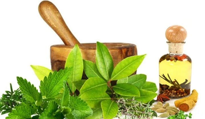 Plant Extracts Market Analysis