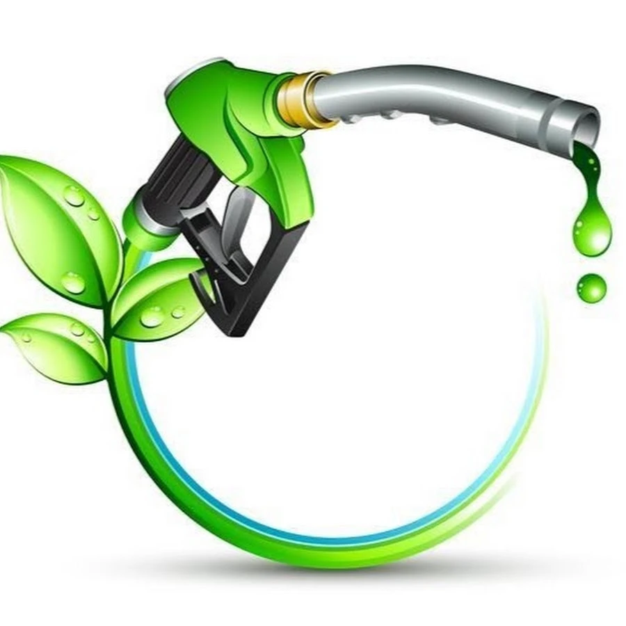 Players in Bioethanol Market Emphasis on Using Renewable Energy Crops Such as Switchgrass, Sugar Cane