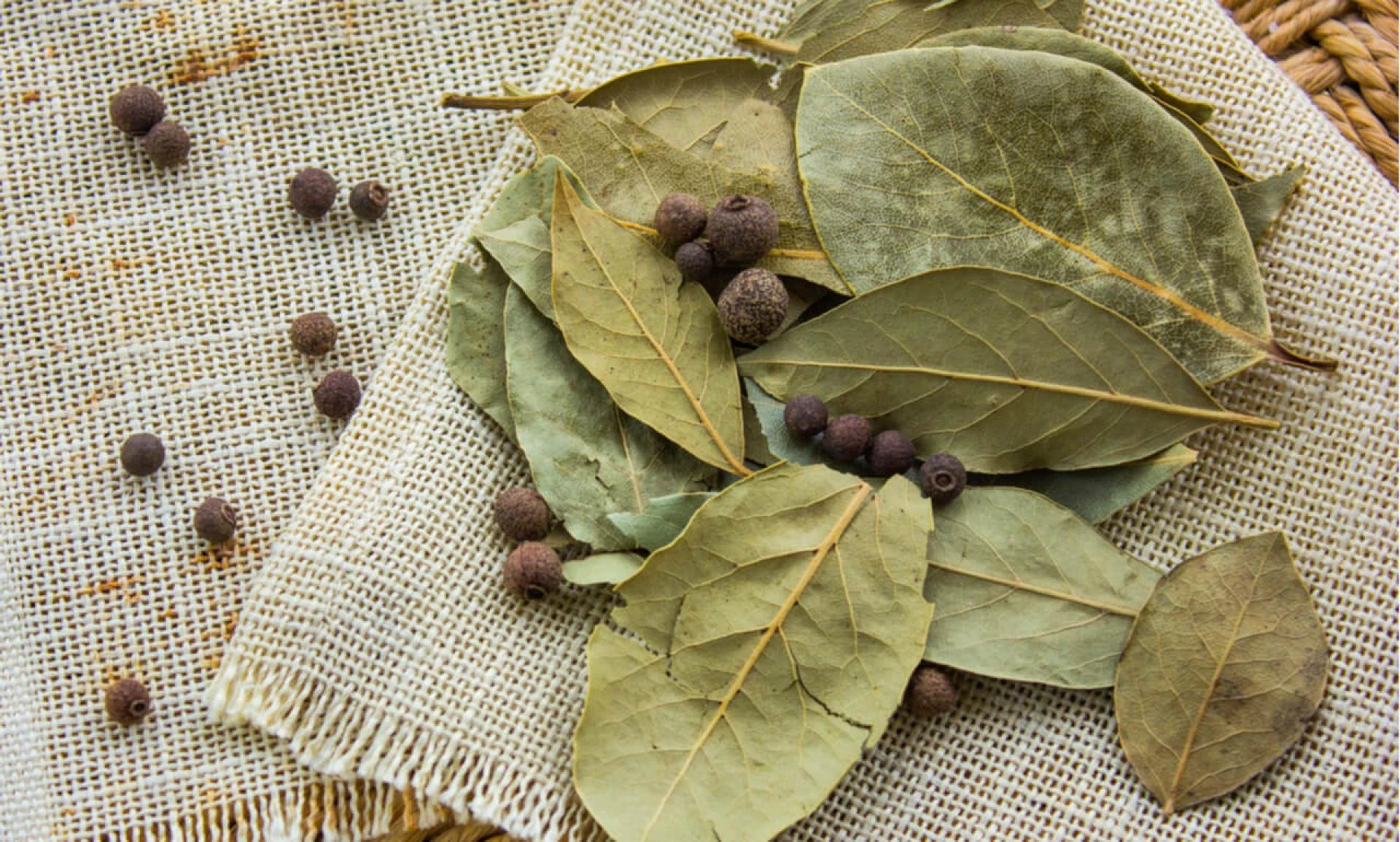 Bay Leaf Market Growth And Analysis