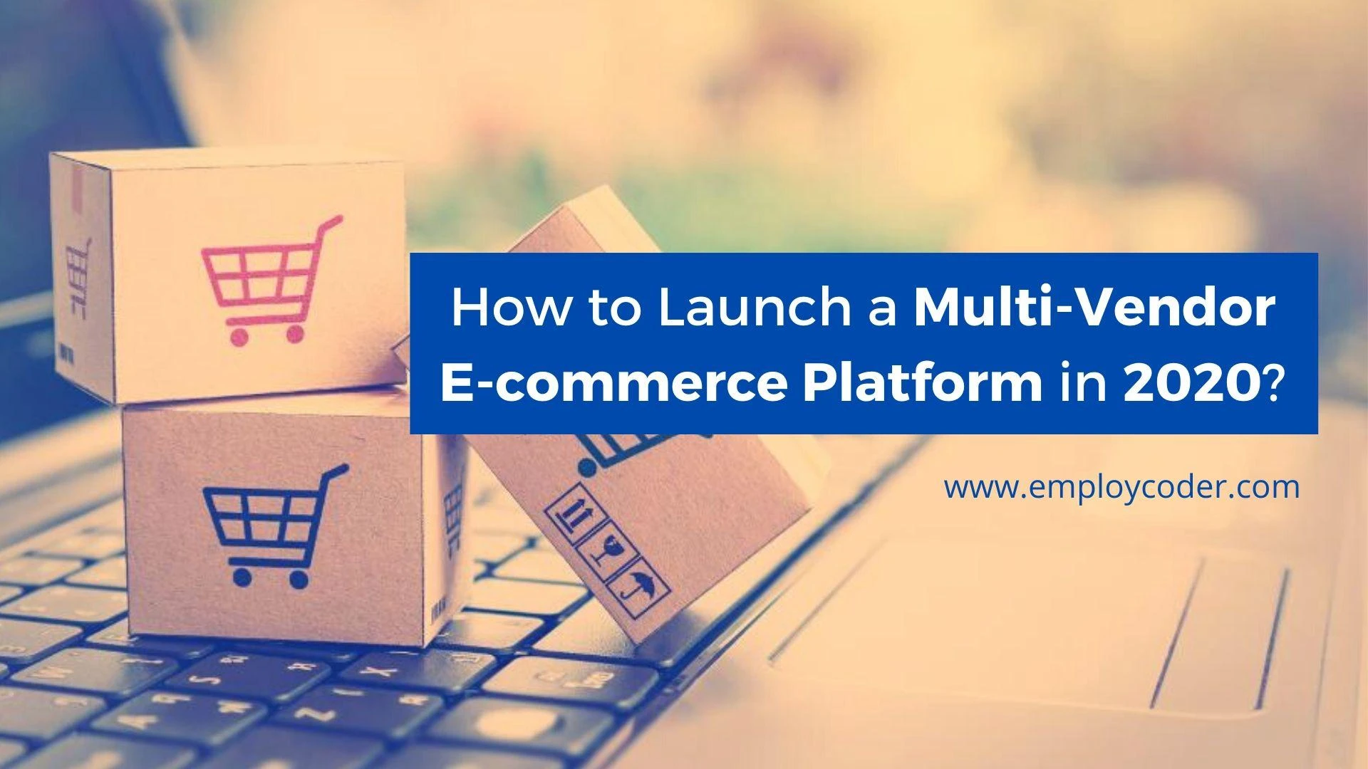 How to Launch a Successful Multi-Vendor E-commerce Platform in 2020?