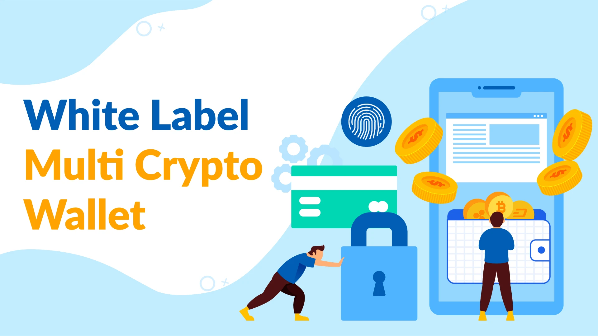 Few elements that triggered the increase in the adoption of multi-cryptocurrency wallets globally.