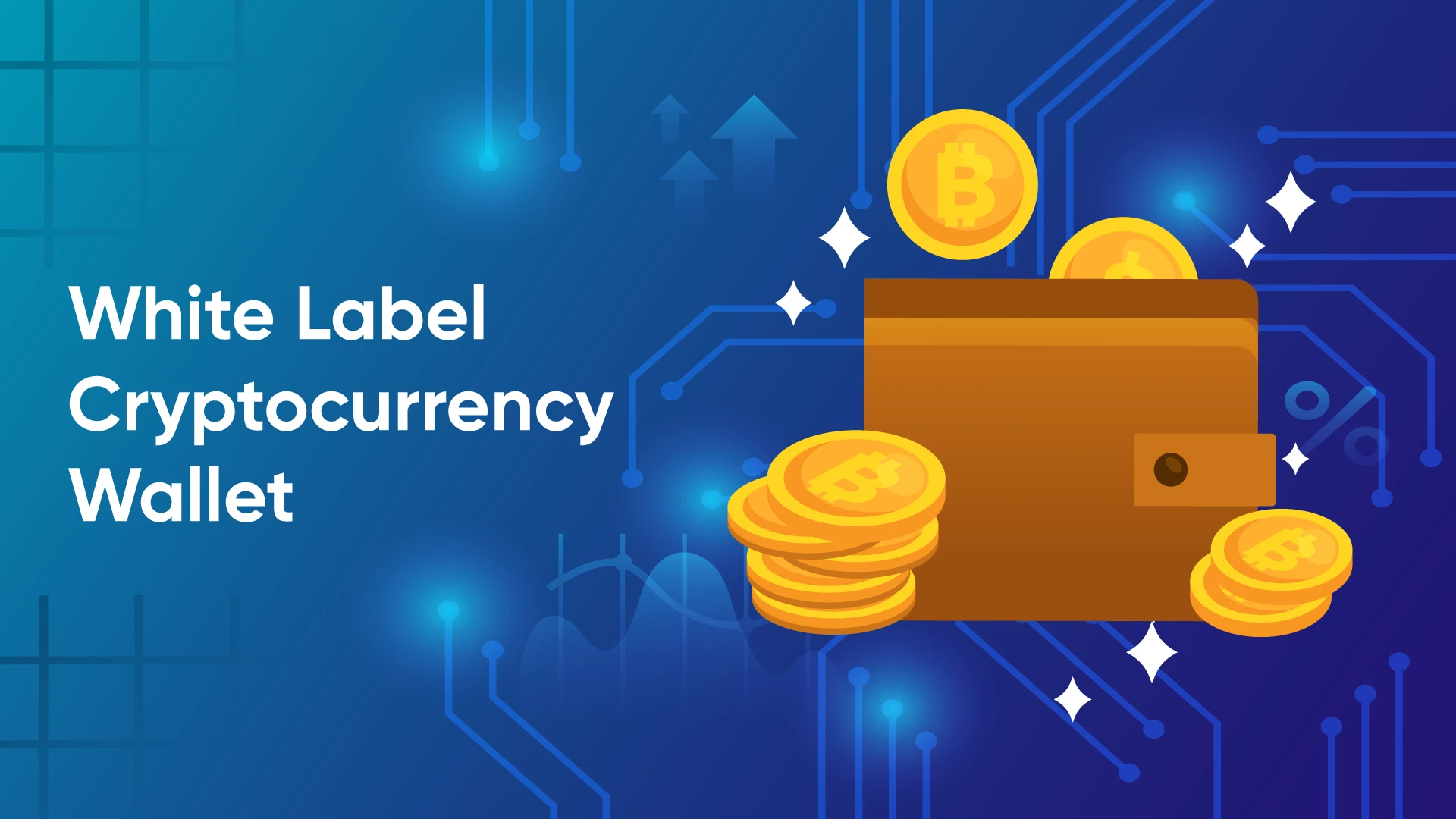 Know the Benefits of Customized Cryptocurrency Wallets