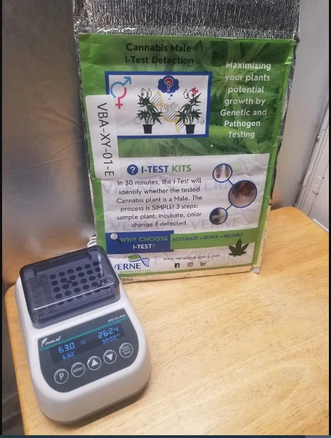 How Does One Prevent Cannabis From Being Affected By HPLVD Testing | Verne Bioanalytics