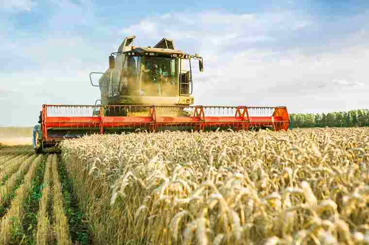 Global Agricultural Commodities Market Share, Size, trends, Growth and Forecast