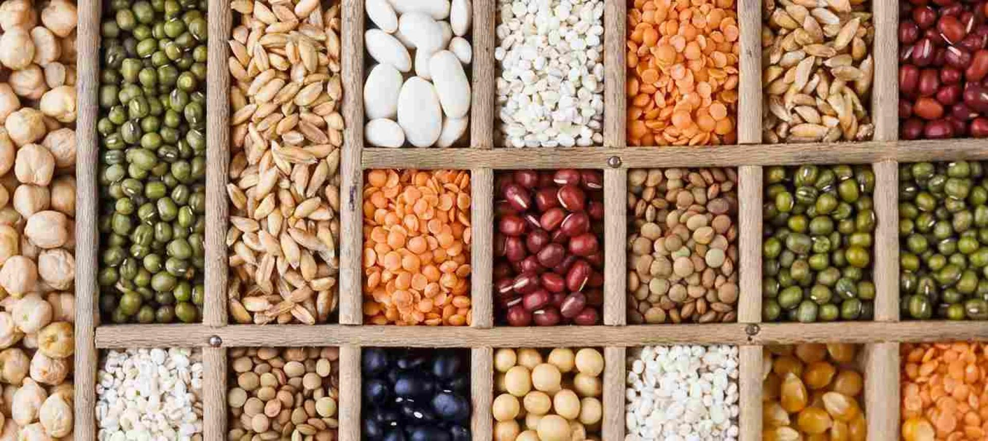 Global Seed Processing Market Share, Size, trends, Growth and Forecast