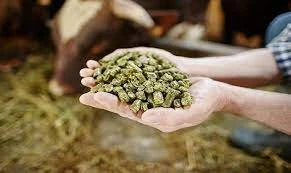 Saudi Arabia Feed Additives Market Report 2024-2032, Industry Growth Opportunity, and Forecast