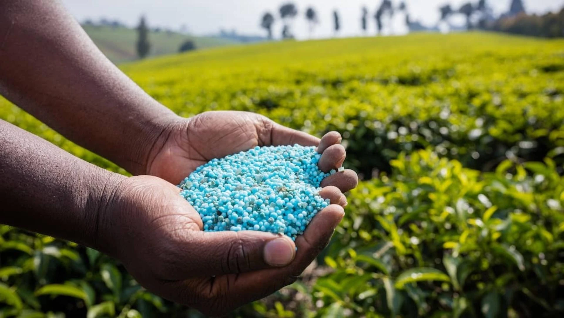Brazil Fertilizers Market Demands, Growth Analysis, Industry Report 2024-2032