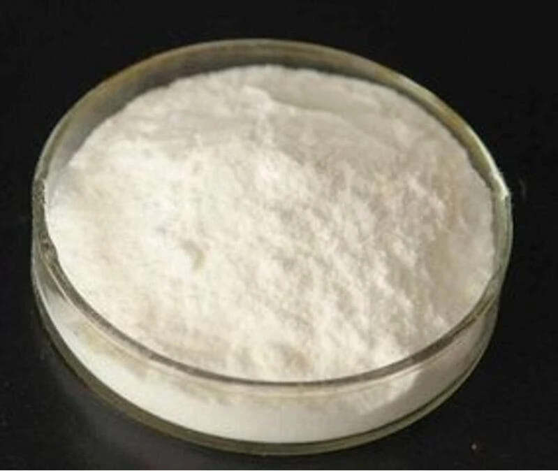 North America Chitosan Market Outlook, Industry Size, Growth Factors, Investment Opportunity 2024-2032