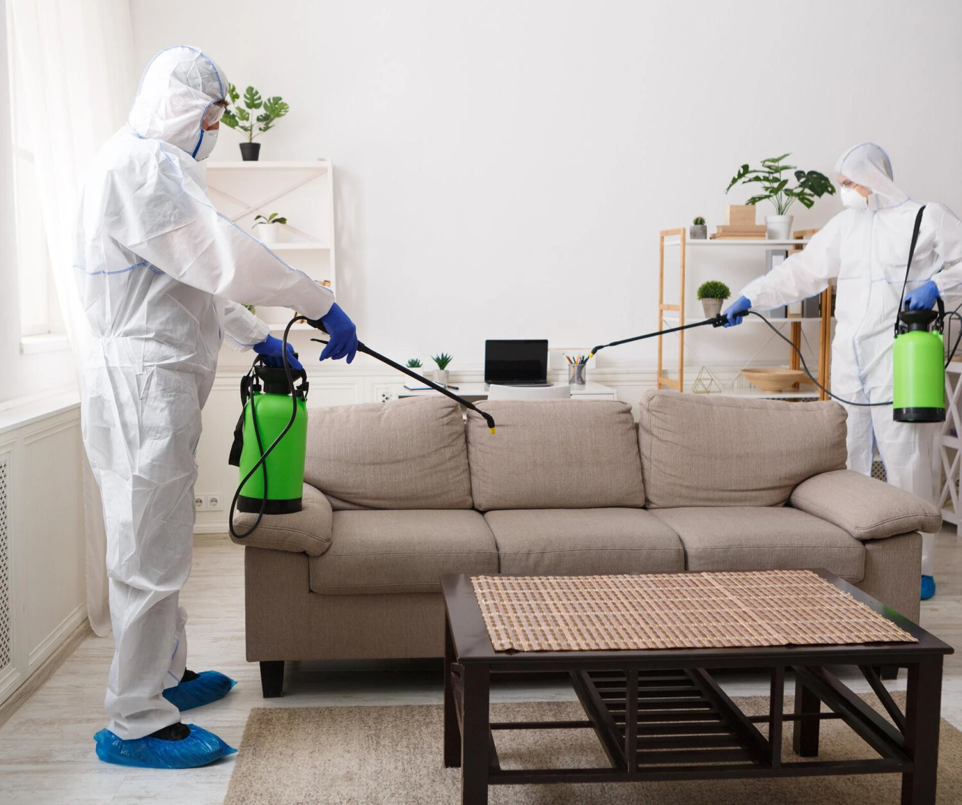 Things You Should Know About Pest Control Companies in Broken Arrow, OK