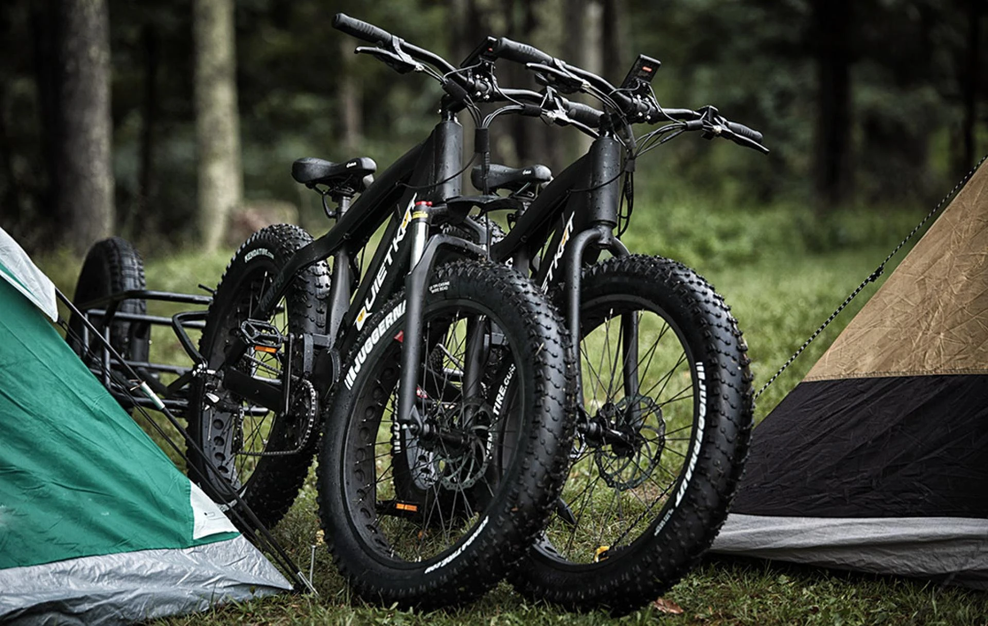 Latest Collection of Electric Hunting Bike